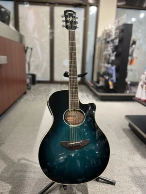 Yamaha - APX600 OBB